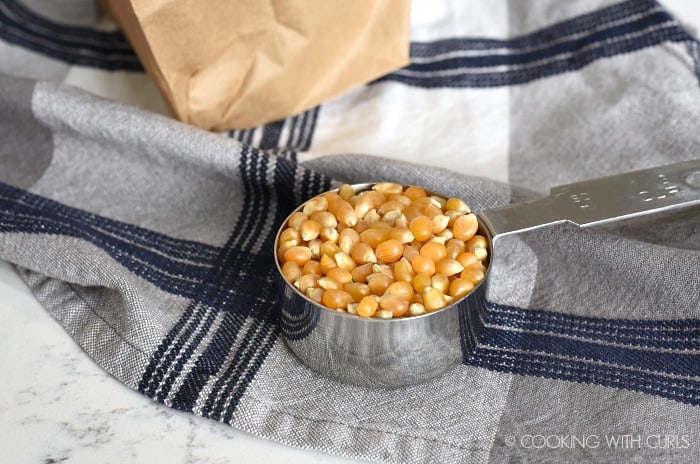 1-3rd cup of popcorn in front of a brown paper bag 