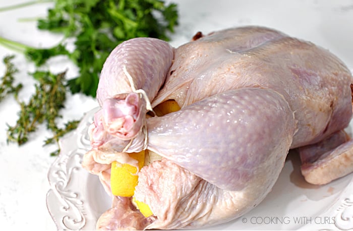 a whole chicken laying on a white platter with it's legs tied with twine and stuffed with lemon and onion wedges. 