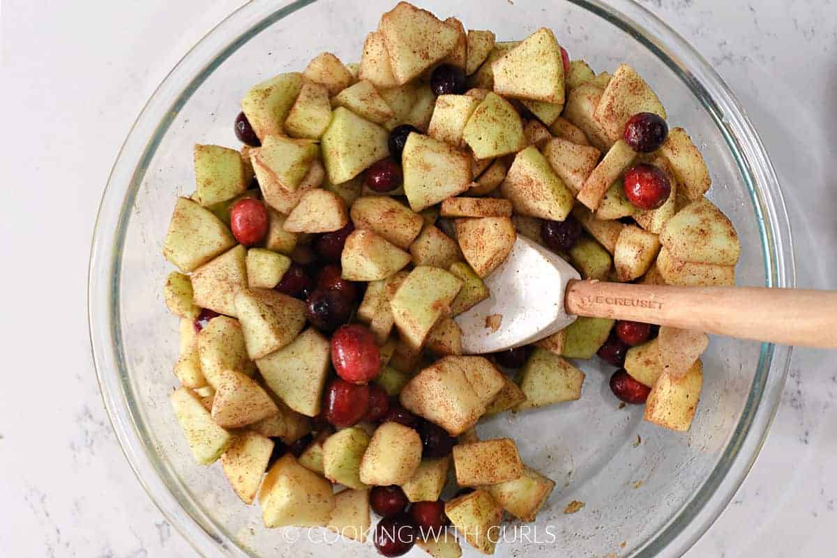 Apple chunks tossed with cranberries, cinnamon, nutmeg, salt, and sugar in a bowl. 