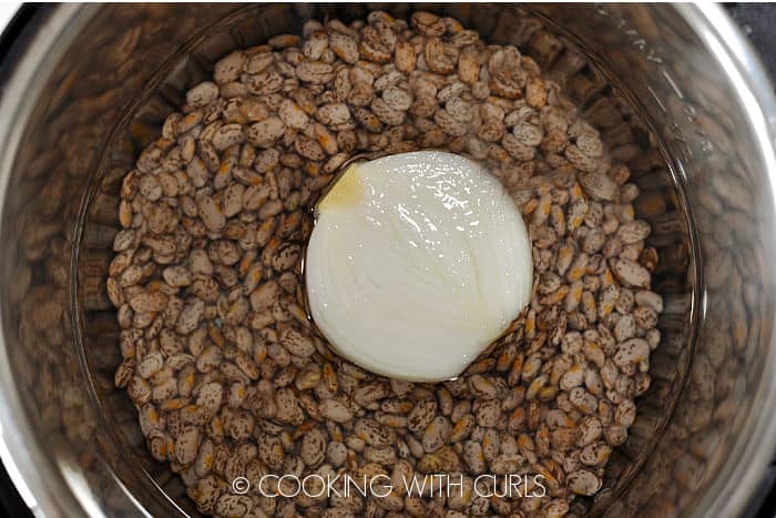 Beans, water and half of a white onion in a pressure cooker. 