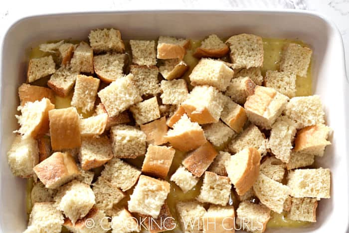 Bread cubes layered on top of the custard mixture. 
