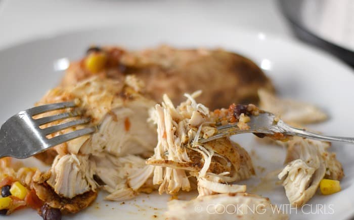 Chicken breasts shredded on a white plate with two forks.