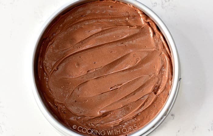 Chocolate cheesecake mixture in a springform pan. 