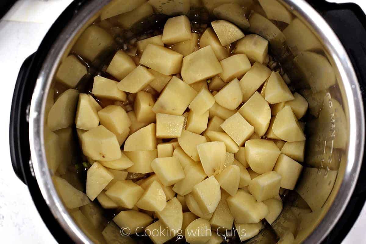 Chopped potatoes, broth and onions in a pressure cooker. 
