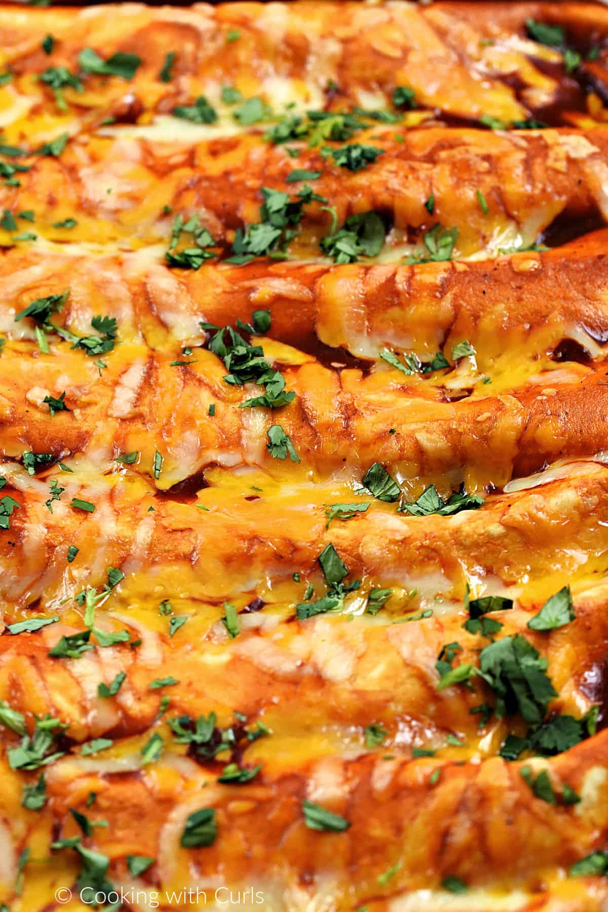 Close-up image of enchiladas covered in red sauce, melted cheese, and chopped cilantro in a baking dish. 