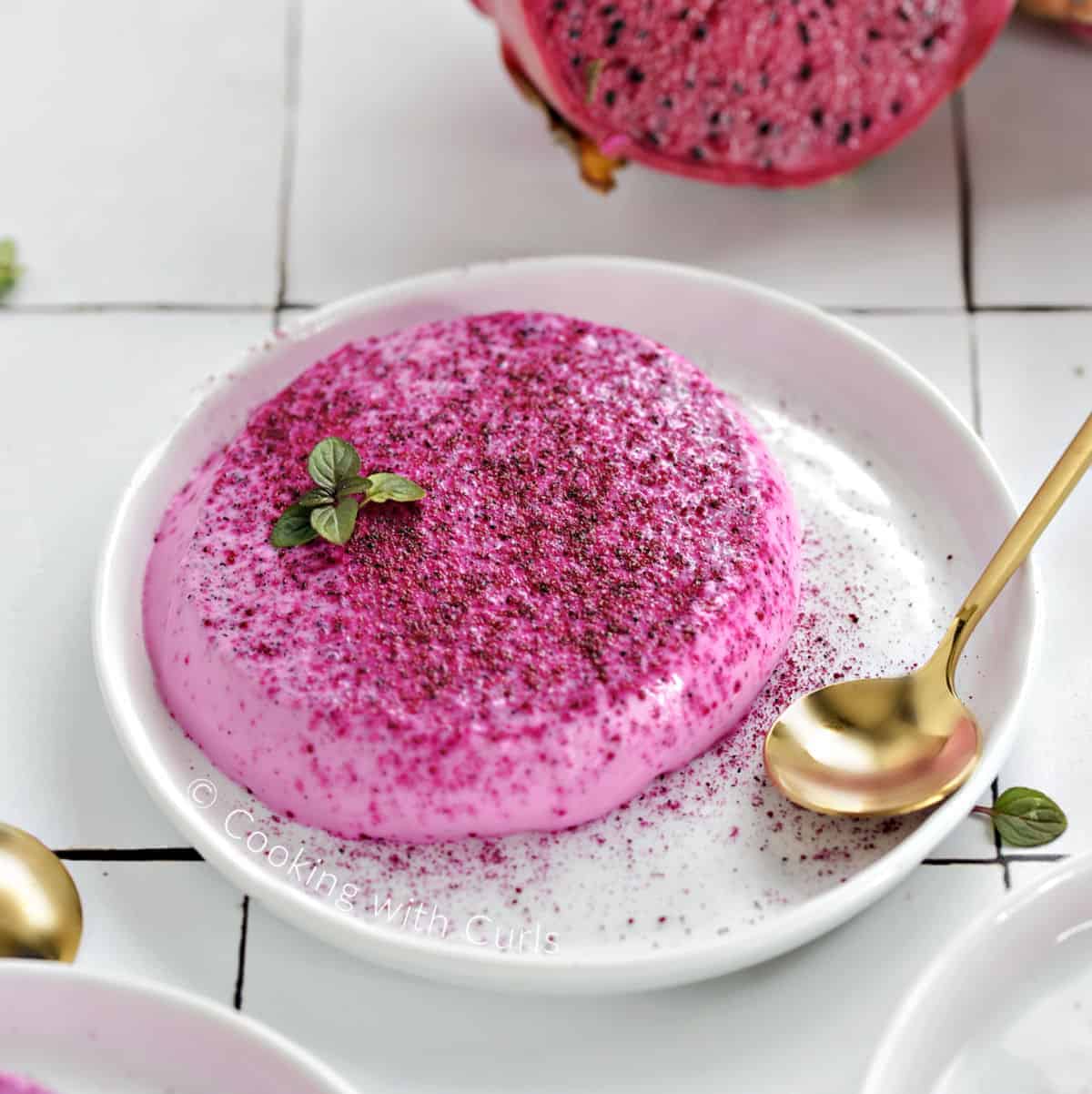 Panna Cotta Infused with Dragon Fruit