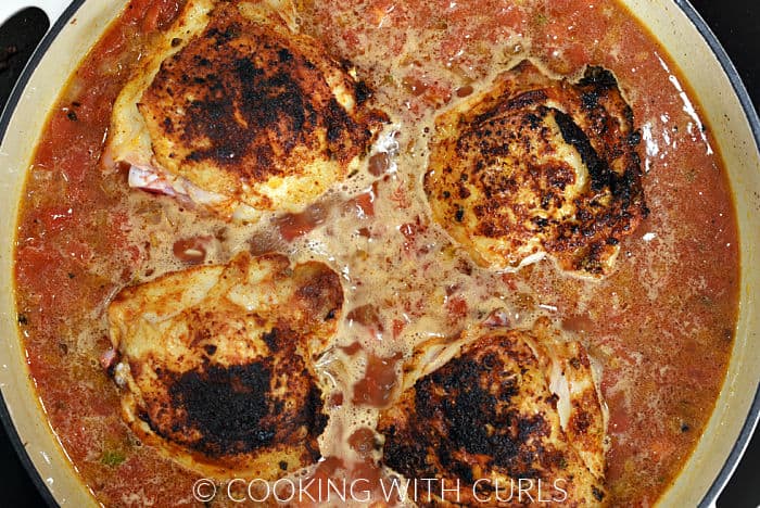 Four seared chicken thighs in a skillet with chicken stock and diced tomatoes. 