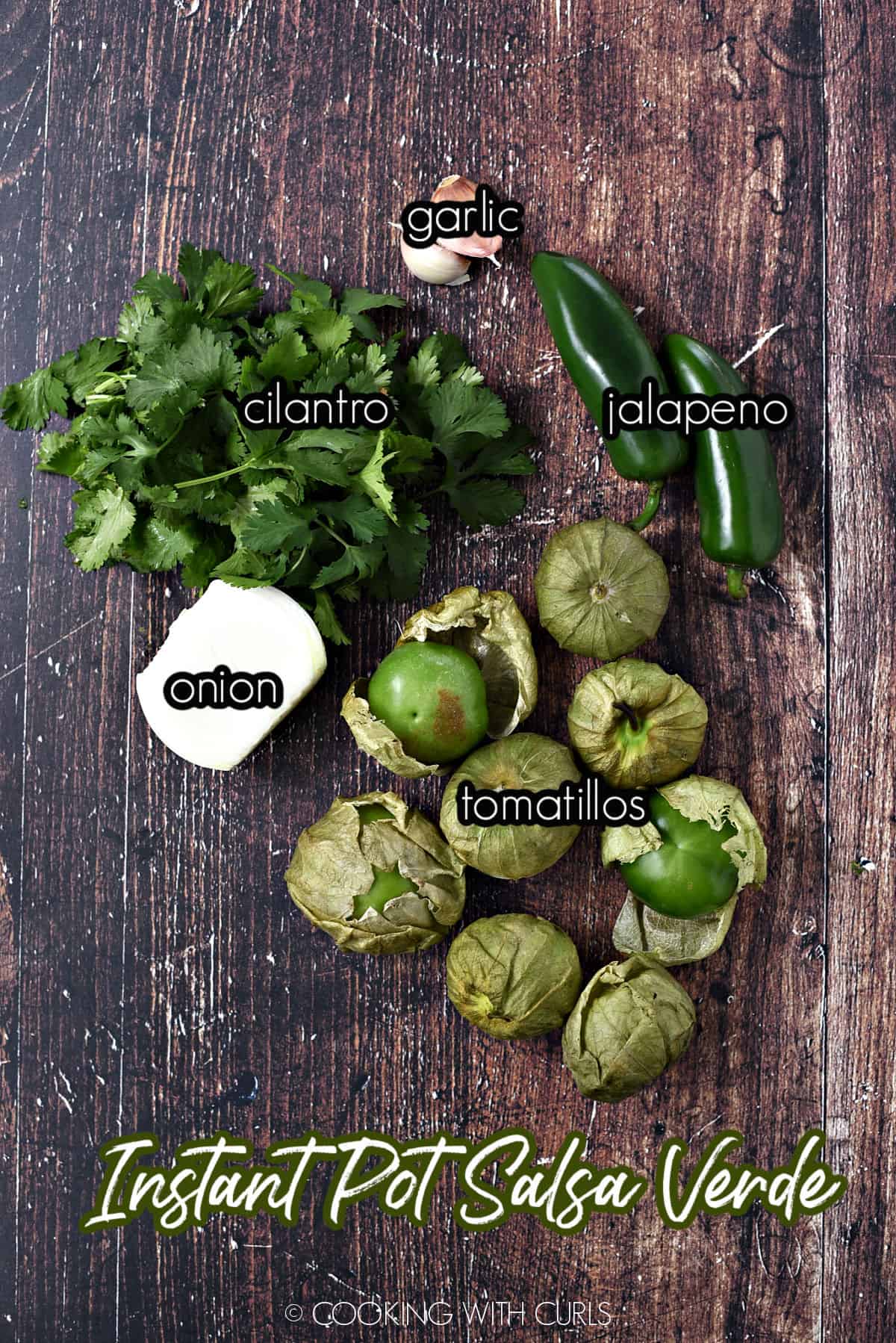 Garlic, cilantro, jalapeno, onion and tomatillos for Instant Pot Salsa Verde. cookingwithcurls.com