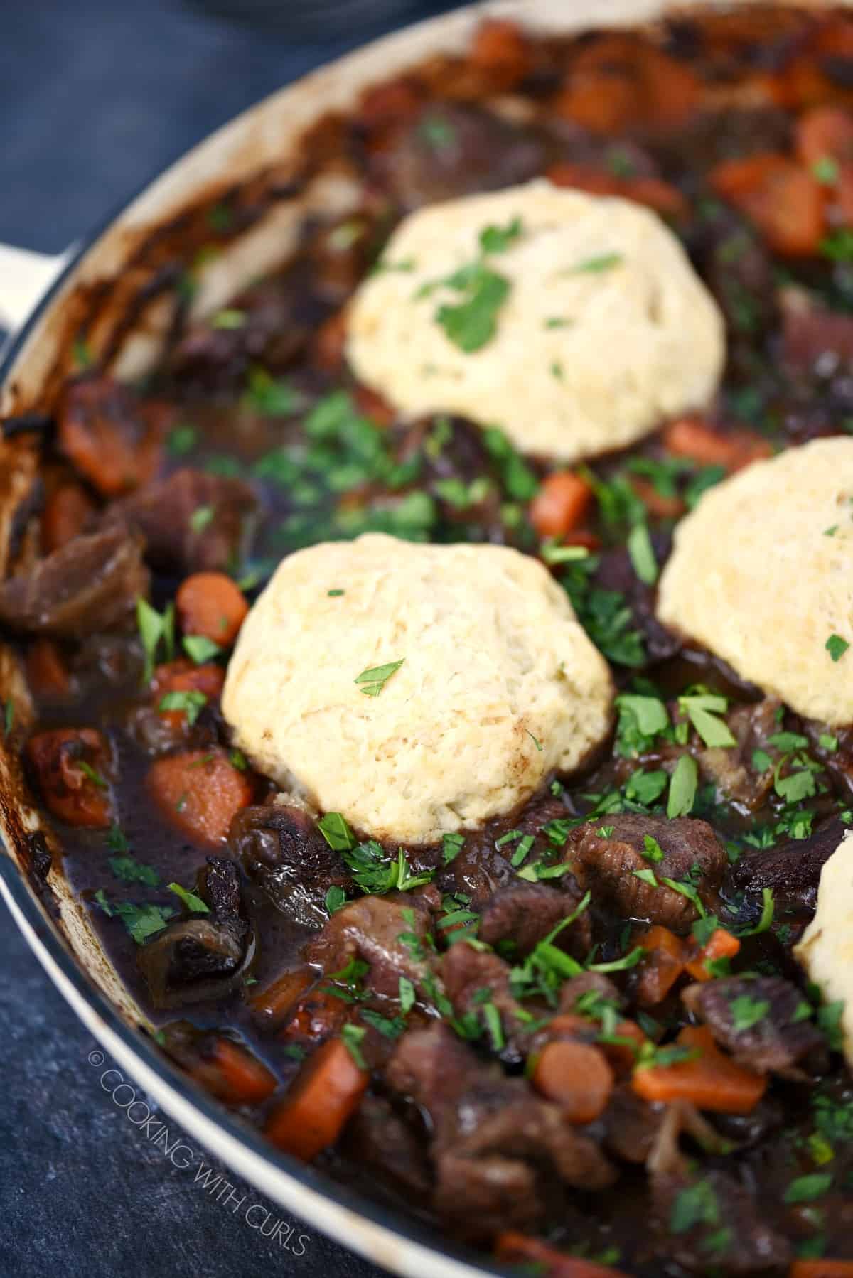 Looking down on herb dumplings atop Guinness Beef in a casserole pan.