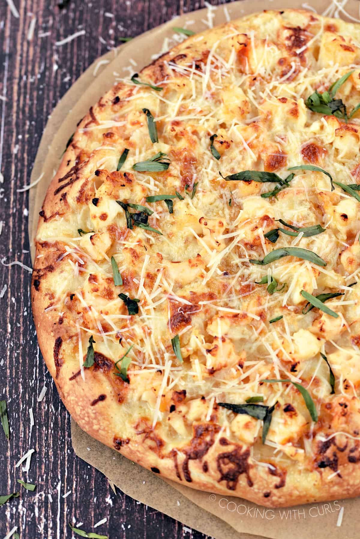 Lobster Pizza topped with grated Parmesan and torn tarragon leaves on parchment paper circles.