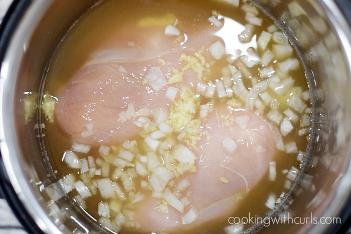 Instant Pot Chicken Pot Pie Soup cook cookingwithcurls.com