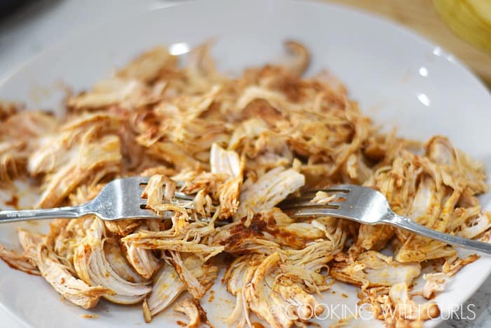 Instant Pot Mexican Casserole shredded chicken on a plate with two forks.