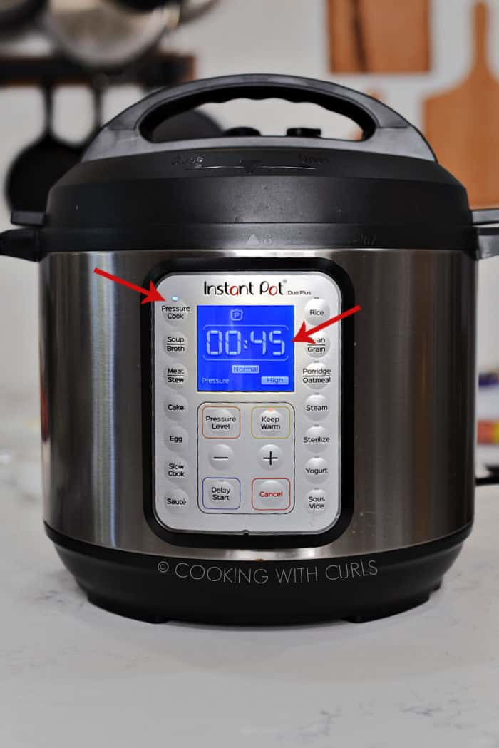 Instant Pot Pressure Cook 45 minutes Normal High Pressure. 