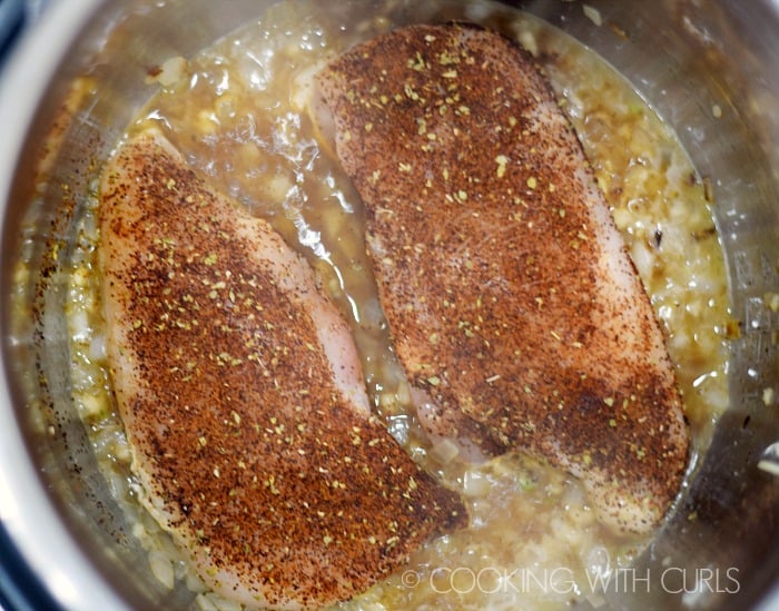 Instant Pot with seasoned chicken breasts and chicken stock.