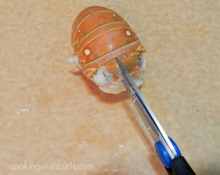 Kitchen scissors cutting into the center of a cooked lobster tail. 