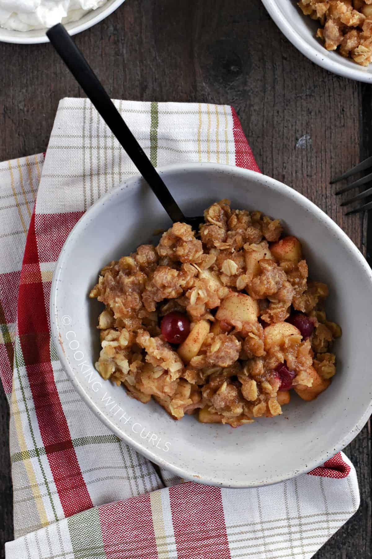 Looking down on a bowl of apple chunks, oats, and cranberries with a bowl of whipped cream in the upper left corner. 