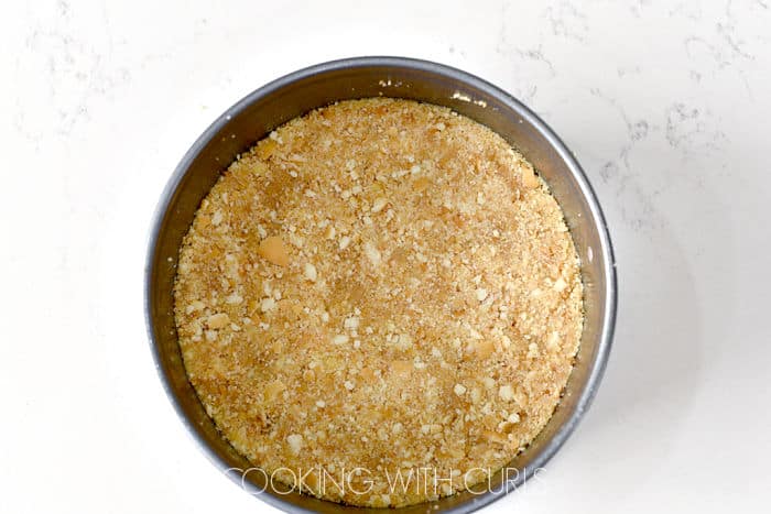 Looking down on vanilla wafer crust in a springform pan. 