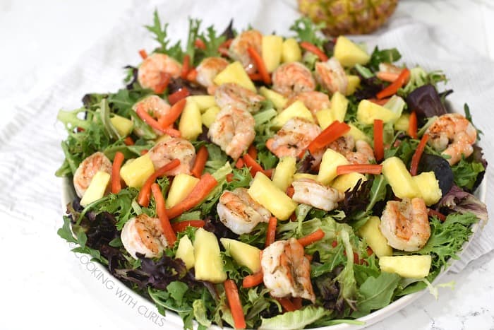 Mixed greens topped with grilled shrimp, pineapple chunks, and thin red pepper strips. 