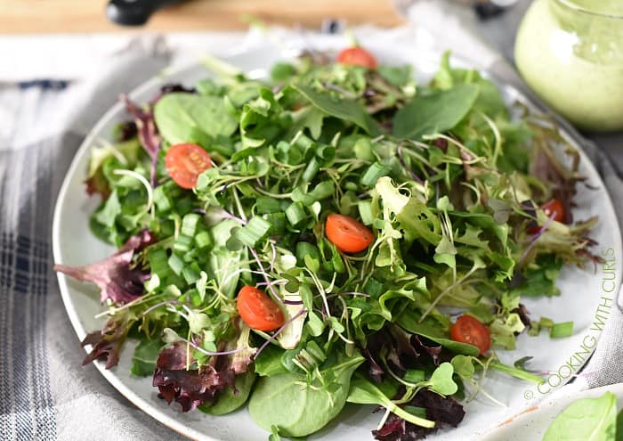 Mixed salad greens and cherry tomatoes on a large white plate. 