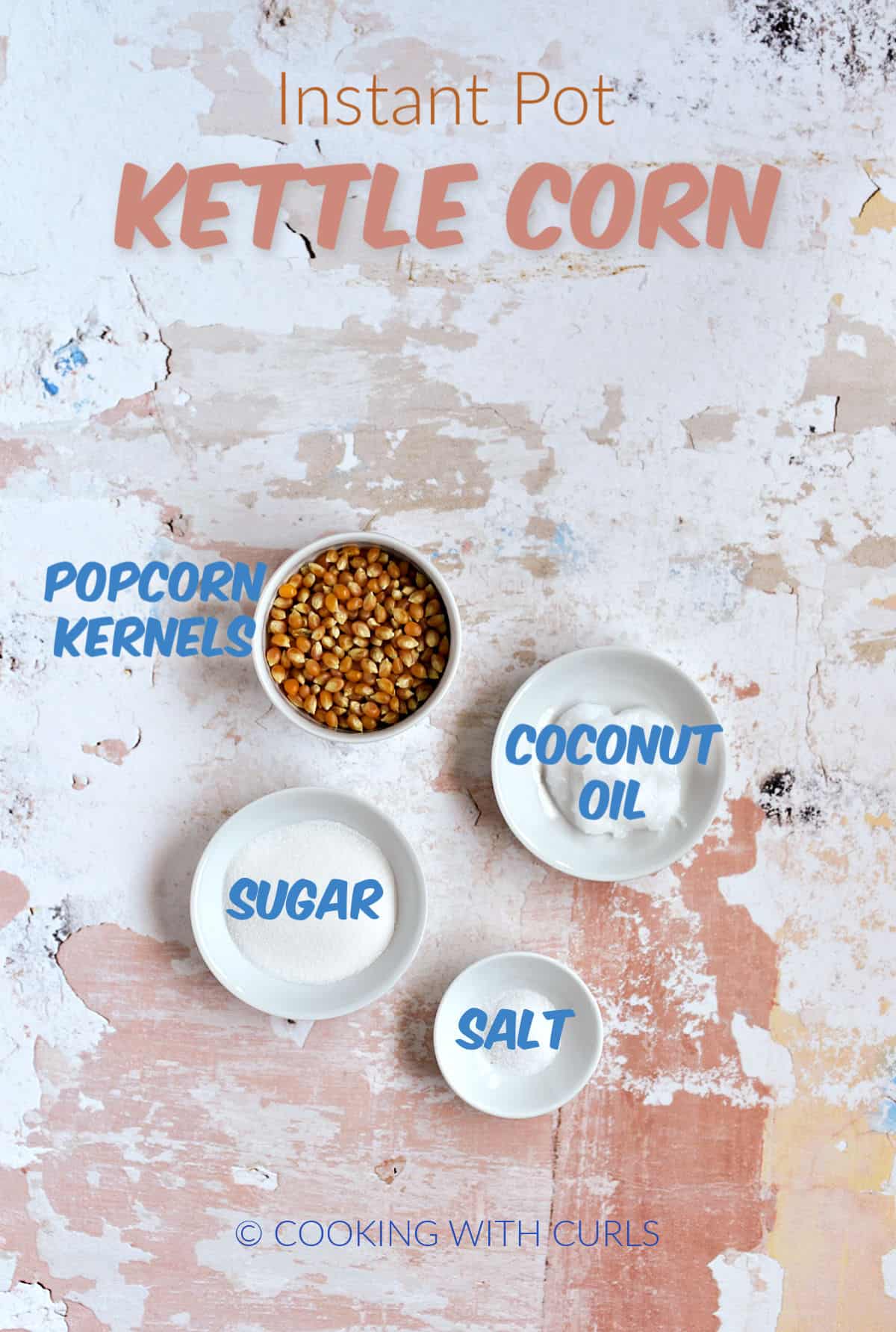 Popcorn kernels, coconut oil, sugar, and salt in small white bowls. 