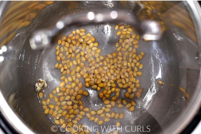 A lid over the popcorn kernels, oil and sugar in a pressure cooker. 