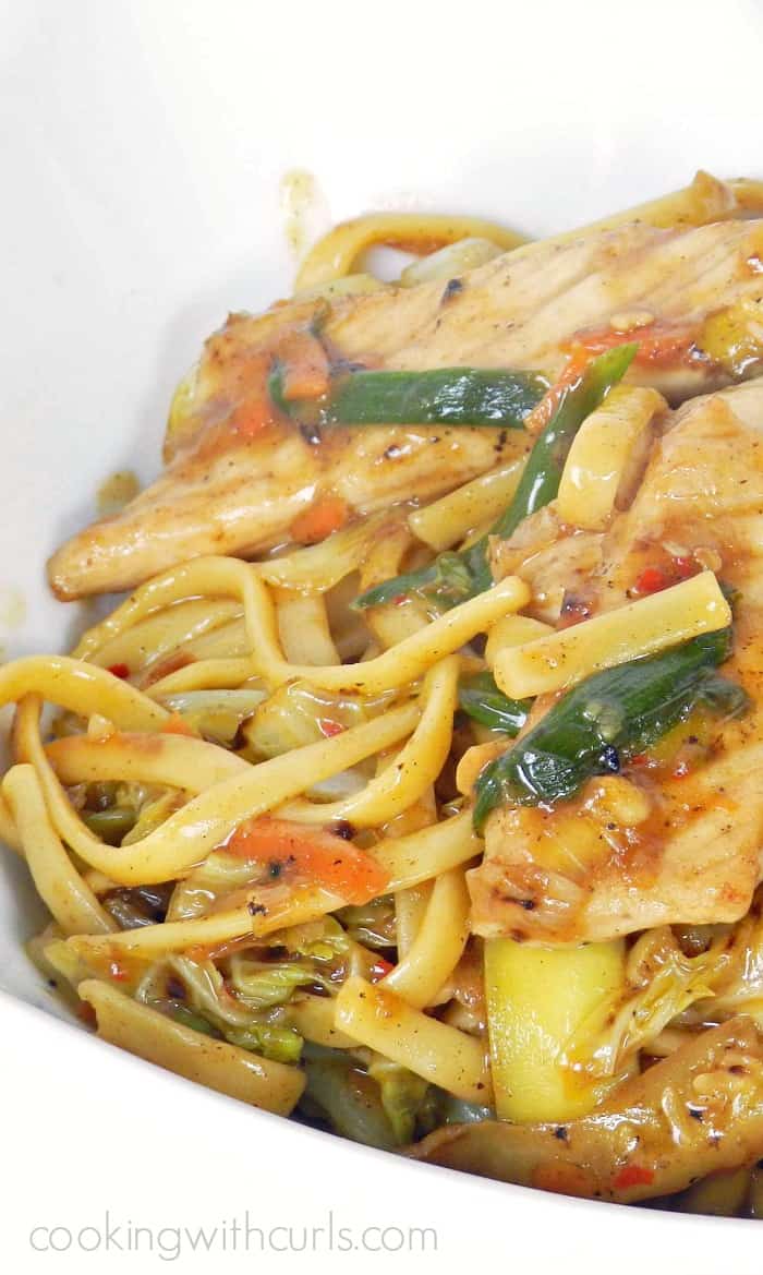 Close up image of pork lo mein in a white bowl.