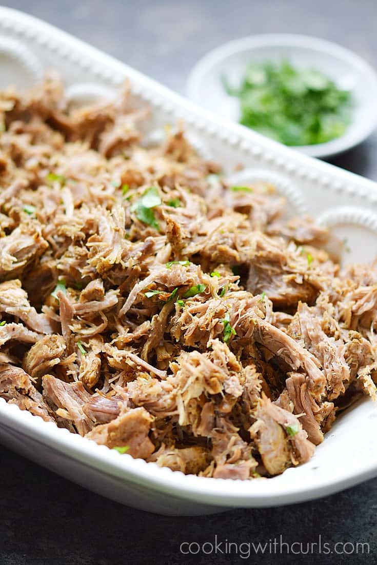 Pork Carnitas in a serving bowl topped with chopped cilantro.