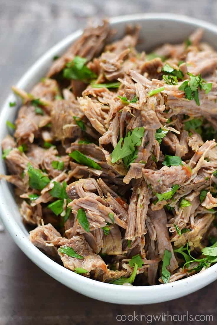 A bowl of Mexican shredded beef topped with chopped cilantro.